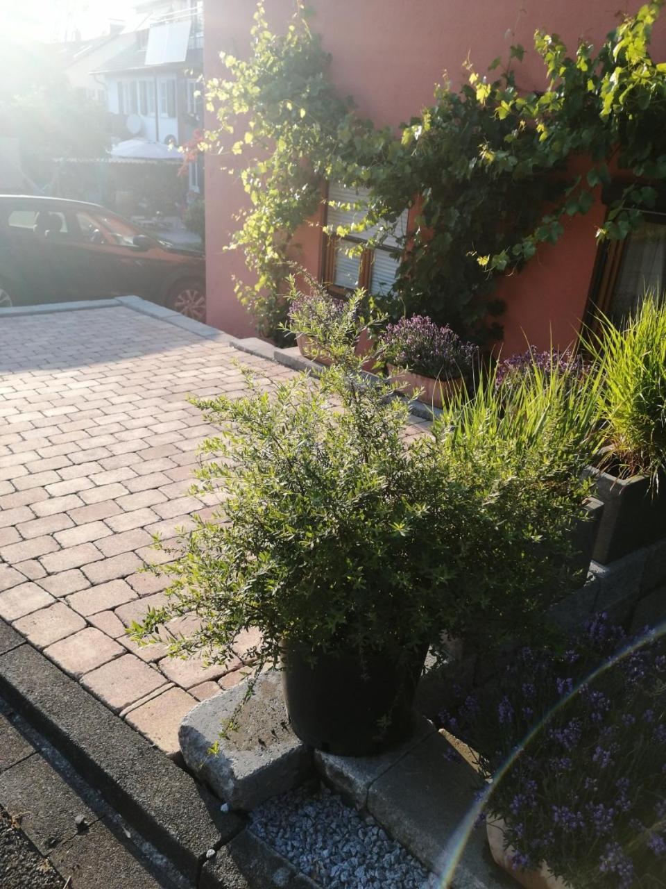 Haus Meersburg See Buitenkant foto